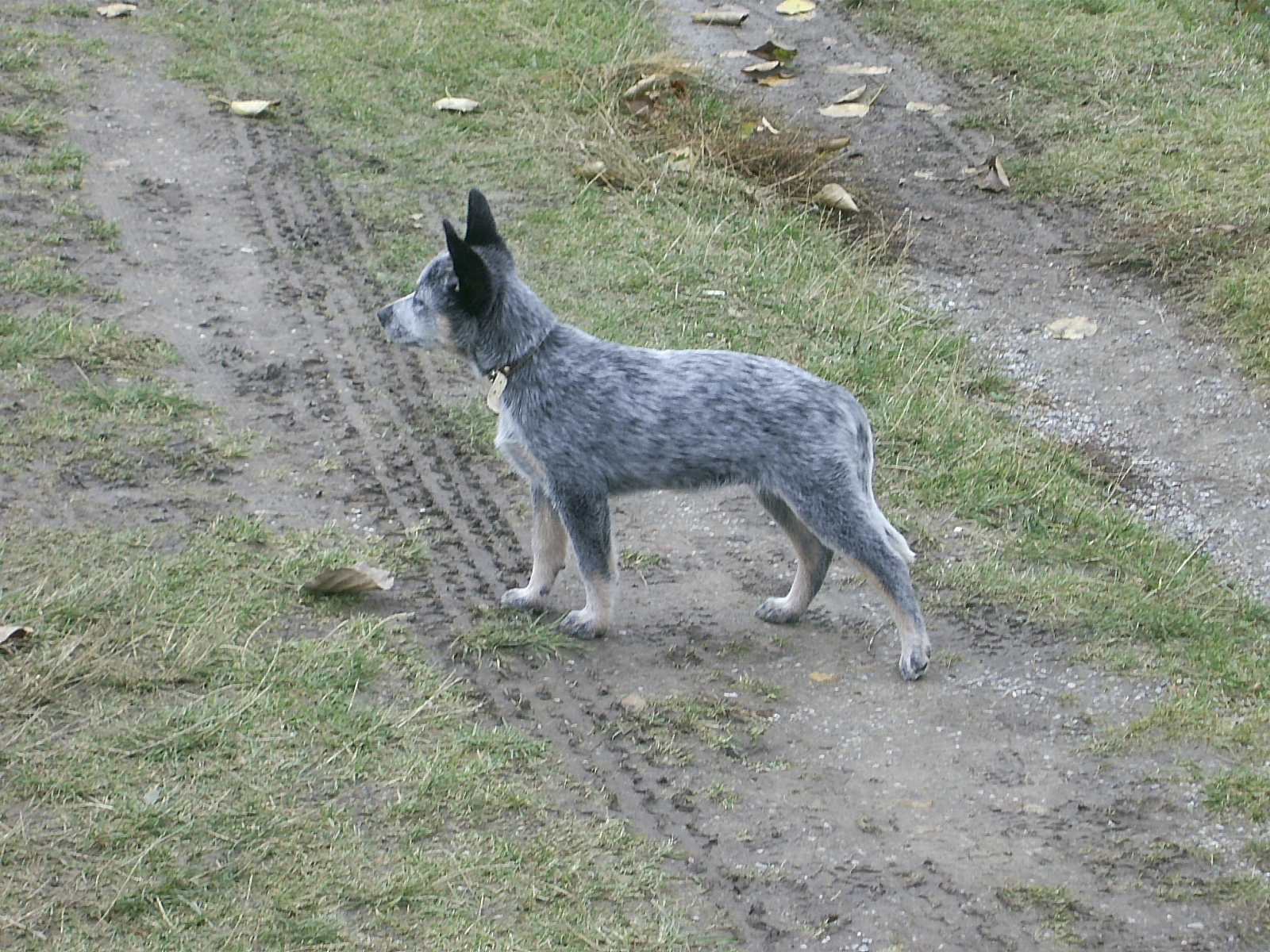 PIC_0094.JPG